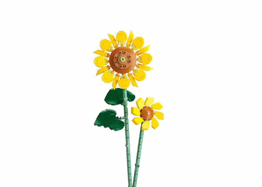 M38-B1101-10 - 1.webp